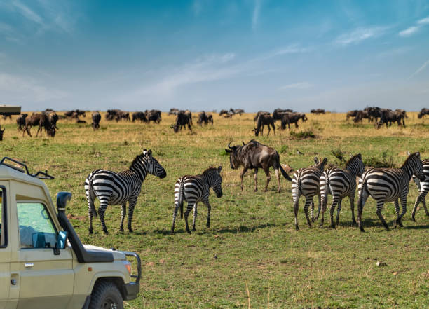 3 days private safari from moshi